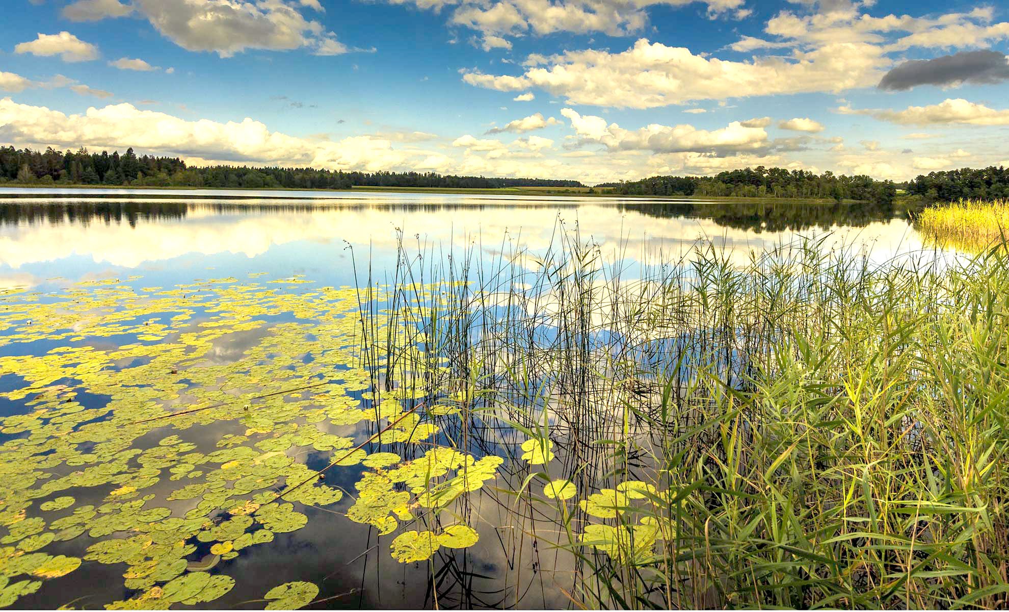 happyfishing.hu happyfishing.hu