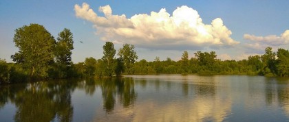 Velencei-tó horgász szemmel